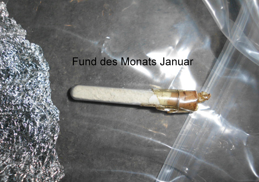 Fund des Monats Januar