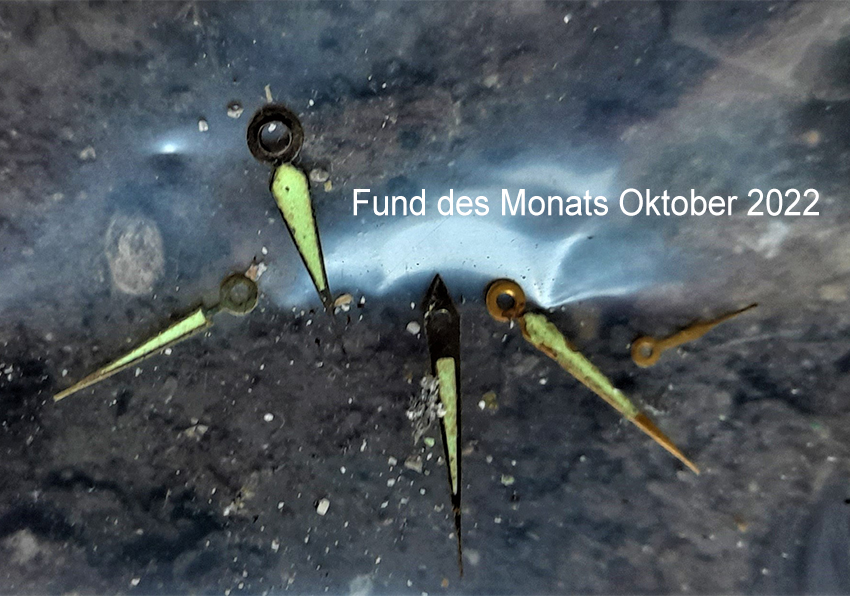 Fund des Monats Oktober 2022