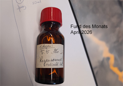 Fund des Monats April