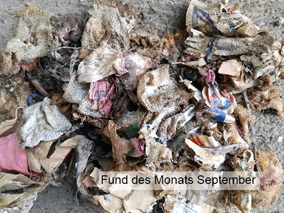 Fund des Monats September