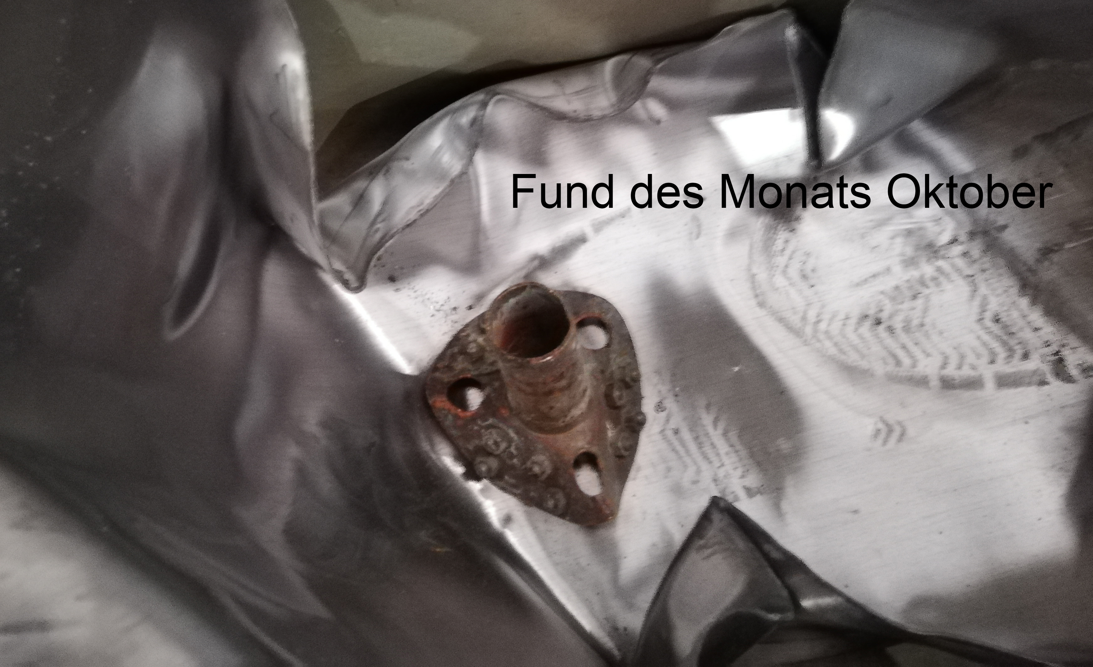 Fund des Monats Oktober