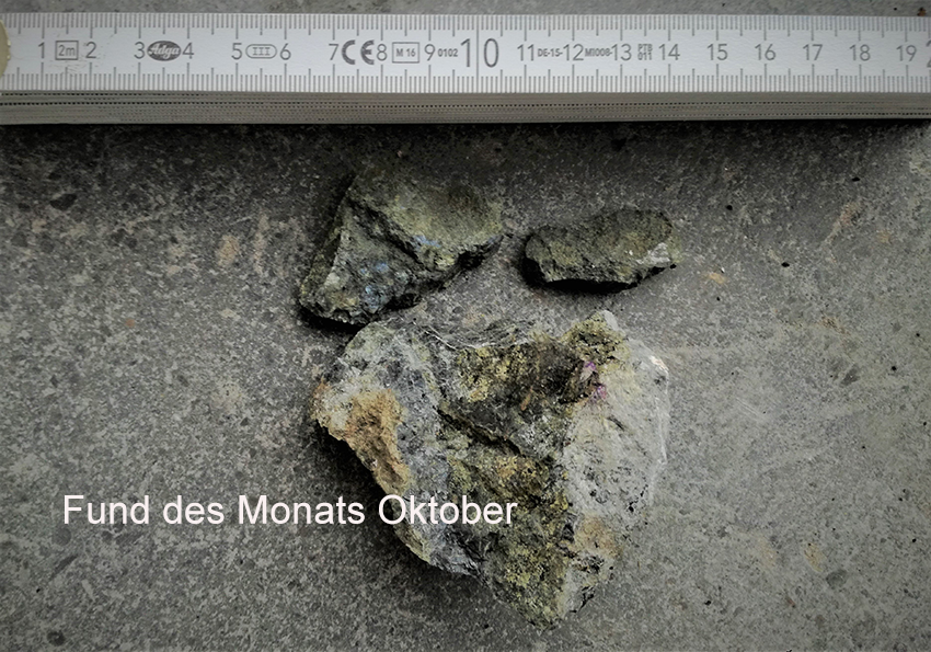 Fund des Monats Oktober