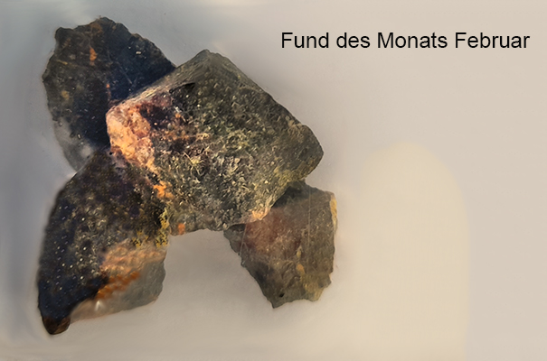 Fund des Monats Februar